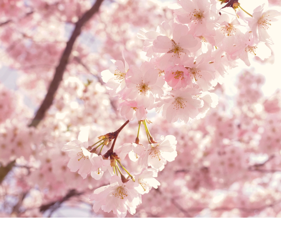 God is Calling You to Create: Rejoicing in Small Beginnings, and the Transformation of Grace of Belle
